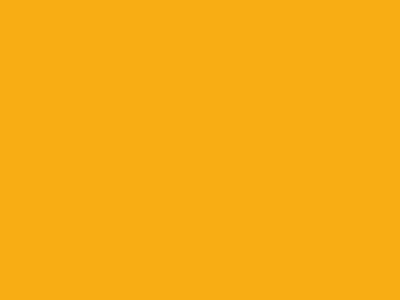 Wattle Yellow